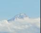 Mount Egmont In The Distance