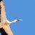 Metre Wingspan Storks