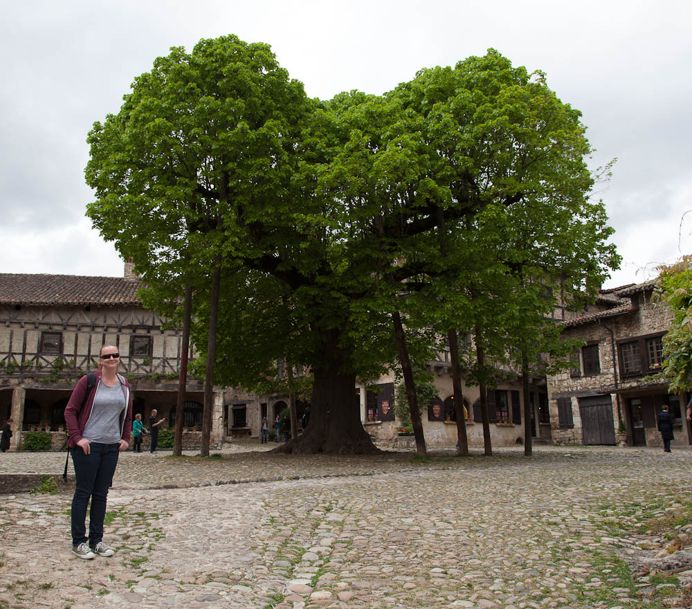 Tree Of Liberty